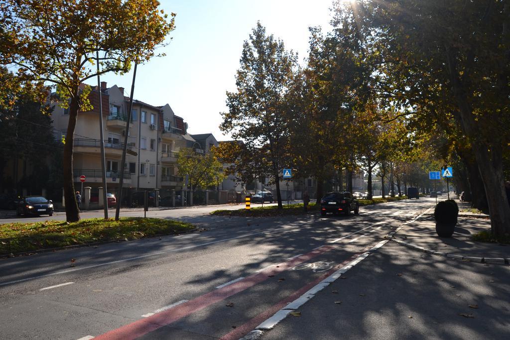Villa K Apartments Белград Номер фото